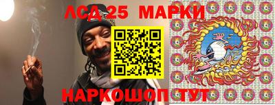 шишки Бийск