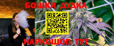 шишки Бийск
