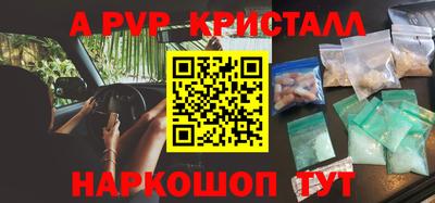 шишки Бийск