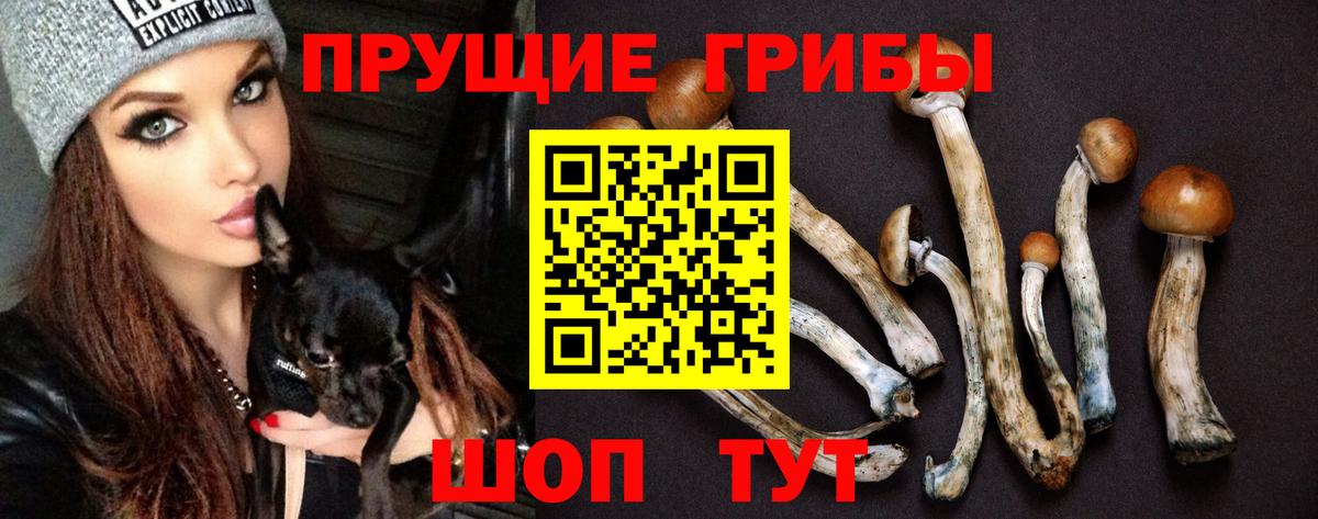 Псилоцибиновые грибы Magic Shrooms  Вход с VPN  Киселёвск 